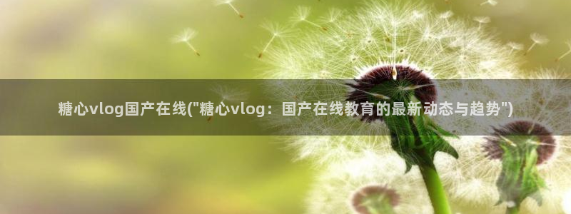 糖心vlog贴纸:糖心vlog国产在线(
