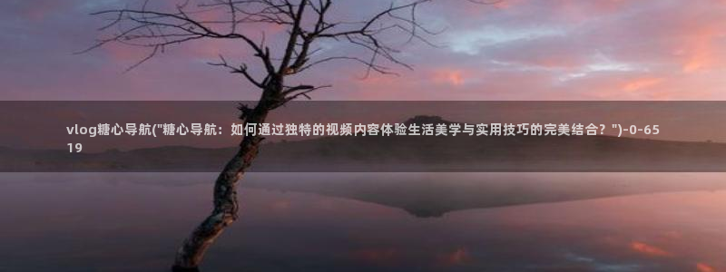 夫妻vlog糖心:vlog糖心导航(\